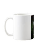 Magnolia Sunrise Mug
