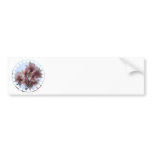 Magnolia Tree in Bloom Bumper Sticker bumper stickers