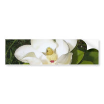 Magnolia White Bumper Sticker