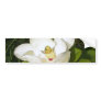 Magnolia White Bumper Sticker
