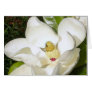 Magnolia White Card