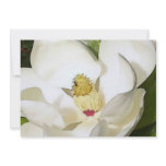 Magnolia White Invitation - Floral Art Invites