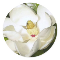Magnolia White Round Sticker