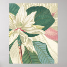 Magnolia with enlargement print