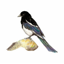 Magpie, Bird, Wildlife, Nature, Ornament Cut Out