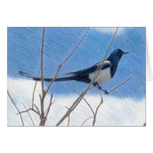 Magpie Fine Art Card