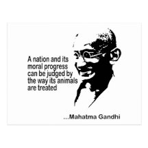 Mahatma Gandhi Animal Rights Postcards