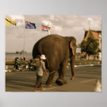 Mahout and Elephant II Print