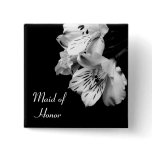 Maid of Honour Alstroemeria Lily Button