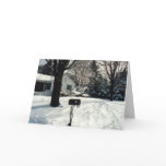 Mail's In Cards
