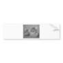 Main Coon - Finn Bumper Sticker