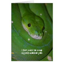 Main Squeeze - Any Occasion - Exotic Snake Card
