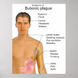 Main Symptoms of Black Death Bubonic Plague Chart posters