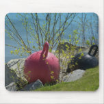 Maine_Coast_24 Mouse Mat