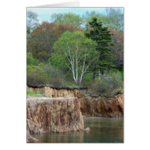 Maine Coast Cards