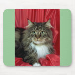 Maine Coon, brown tabby and white mousepads