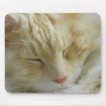 Maine Coon Cat Bentley Mousepads