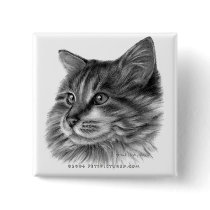 Maine Coon Cat