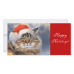 Maine Coon Cat Christmas Portrait Photo Card photo cards