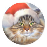 Maine Coon Cat Christmas Portrait Stickers