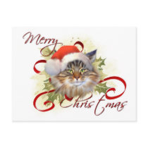 Maine Coon Cat Christmas Postcard