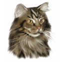 Maine Coon Cat t-shirts