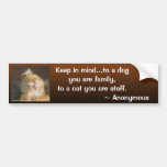 Maine Coon Close Up Photograph Bumper Sticker