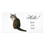 Maine Coon Hello Photo Card photo cards
