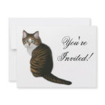 Maine Coon Kitten Invitation