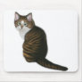 Maine Coon Kitten Mousepad