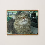 Maine Coon kitty Jigsaw Puzzles