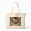Maine Coon Tabby Cat bags