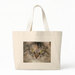 Maine Coon Tabby Cat bags