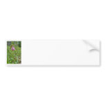 Maine Lady Slippers in Wells Maine - photo by Wend bumper stickers