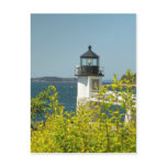 Maine Lighthouse 12 postcards