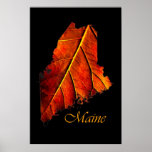 Maine Posters | Maine Fall Foliage Poster