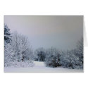 Maine Snow Country cards