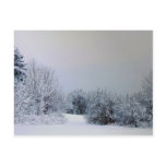 Maine Snow Country Post Cards