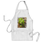 Maine Spring Aprons