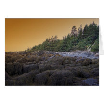 Maine Sunset 4 Greeting Cards