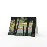 Maitland River View cards