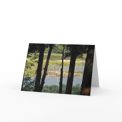 Maitland River View Card by lmitic