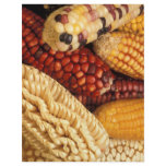 Maize Flyers