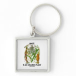 Maize Is An Amazing Plant (Food For Thought) Key Chain
