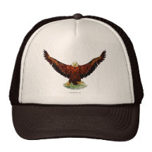 Majestic Eagle Hat