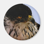 Majestic eagle refrigerator magnets