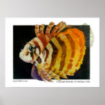 Majestic Lionfish posters