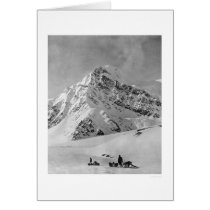 Majestic Mt. McKinley 1908 Greeting Cards