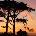 Majestic, Timeless, Sunset Acrylic Cut Outs