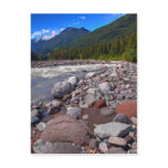 Majestic View Postcard